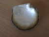 dscf3288